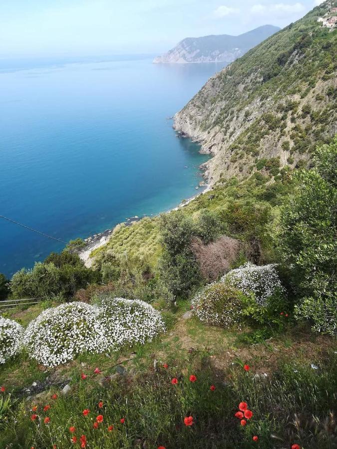 Hotel La Ginestra à Corniglia Extérieur photo