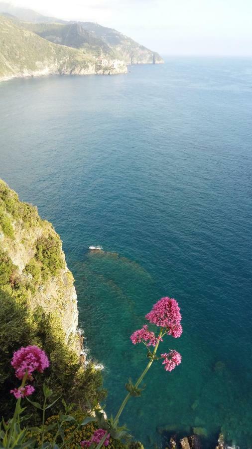 Hotel La Ginestra à Corniglia Extérieur photo